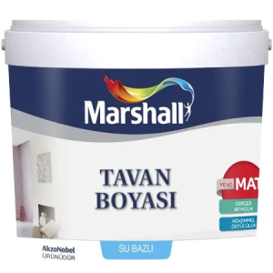 Tavan Boyası