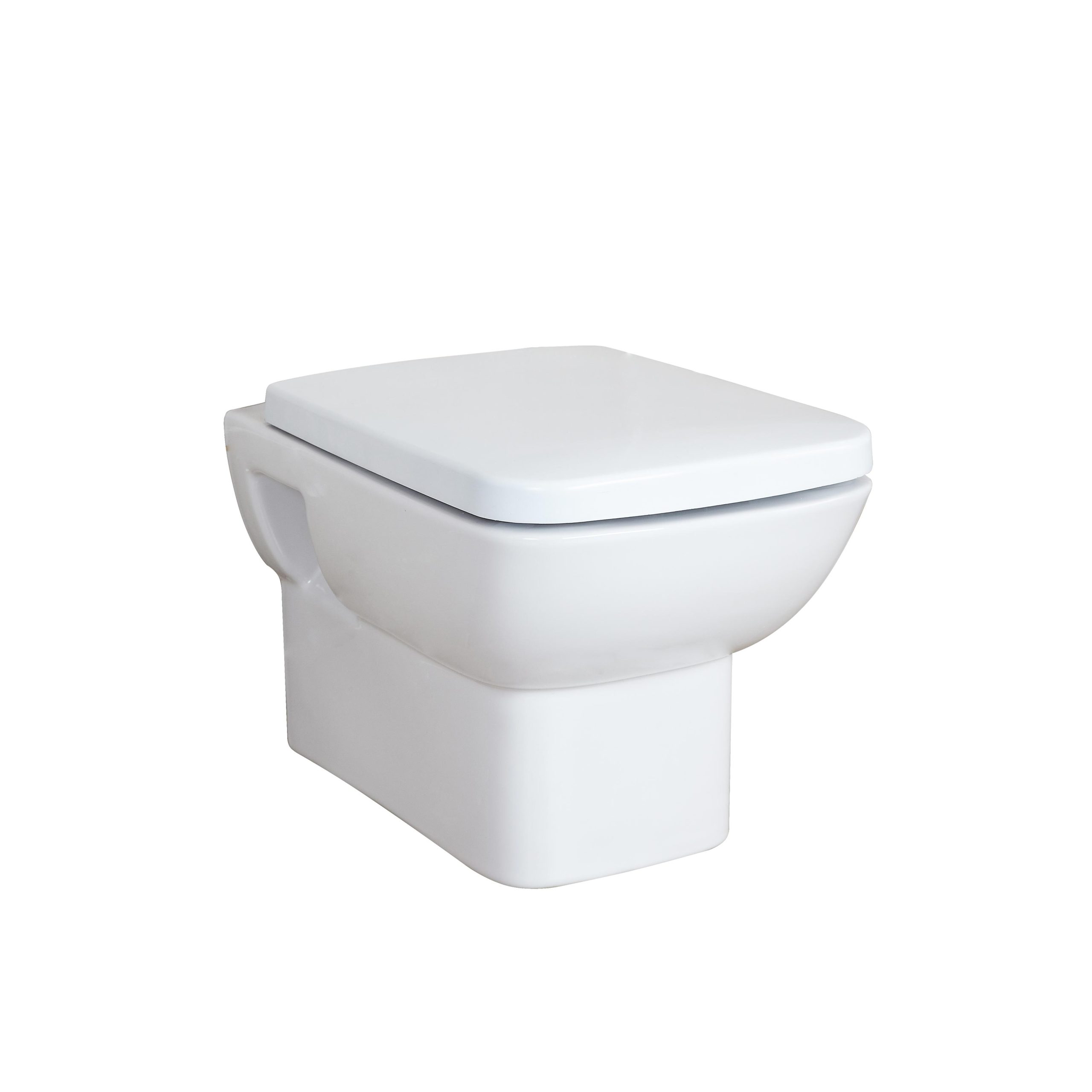EGE Tyana Asma Klozet & Duroplast Soft Kapak